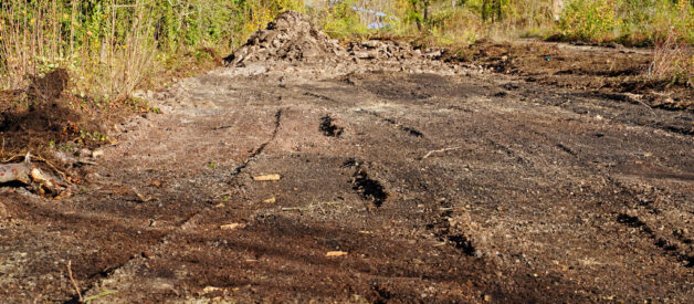 Jak znaleźć numer księgi wieczystej po numerze działki? Jak znaleźć numer księgi wieczystej po numerze działki?